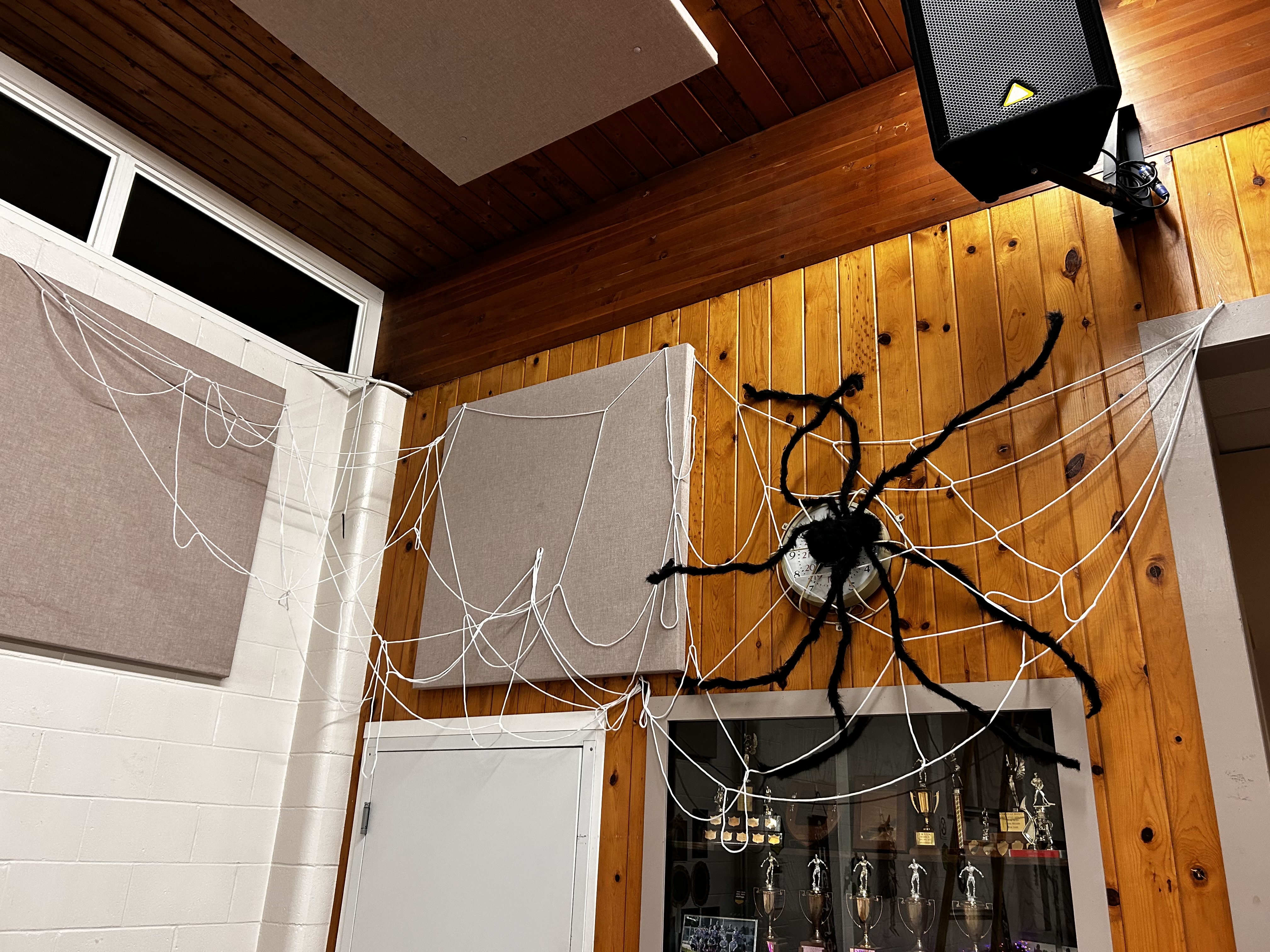Halloween_Spider_Web